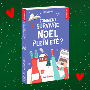 Comment survivre à Noël en plein été de Ludo de Boer