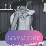 Gayscort (tome 1) Une hot romance gay MM