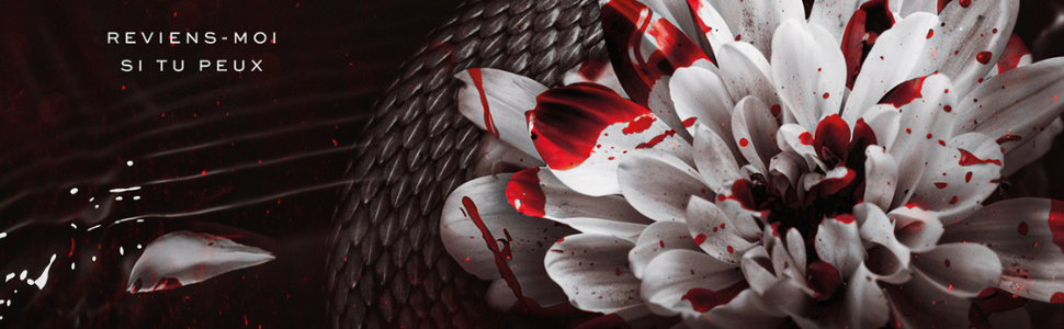 Reviens-moi si tu peux